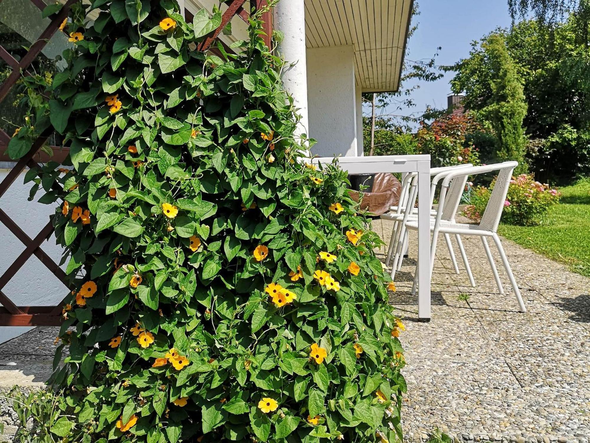 Bodensee Bungalow Immenstaad am Bodensee Luaran gambar